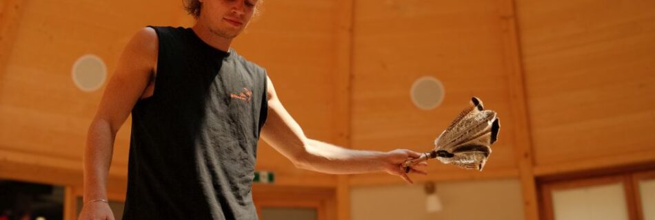 Simon Koler
